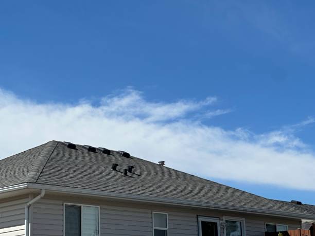 Best Gutter Installation and Repair  in Foscoe, NC